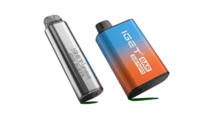 IGET Legend vs. IGET Bar: Which Disposable Vape is Best for You?