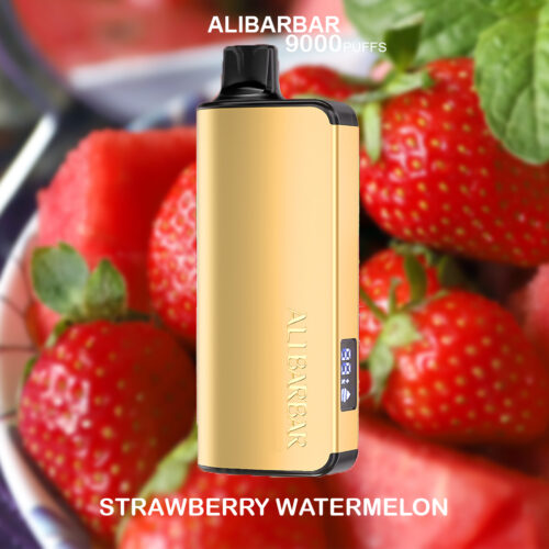 ALIBARBAR INGOT - STRAWBERRY WATERMELON - 9000 PUFFS