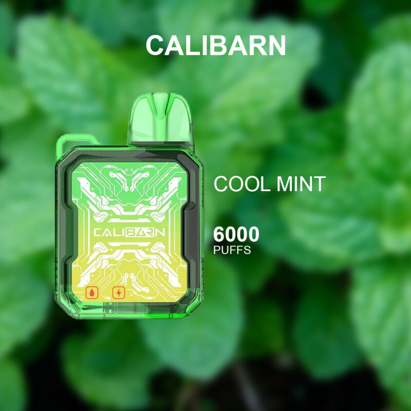 CALIBARN COOL MINT - 6000 PUFFS