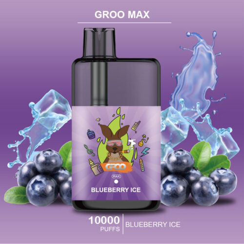 GROO MAX - BLUEBERRY ICE - 10000 PUFFS
