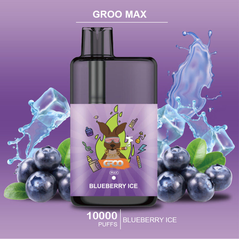 GROO MAX - BLUEBERRY ICE - 10000 PUFFS