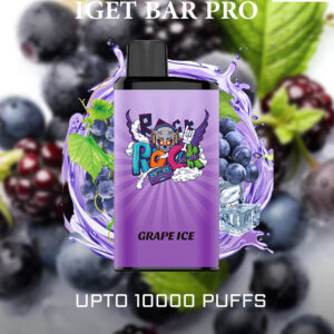 IGET BAR PRO - GRAPE ICE - 10000 PUFFS