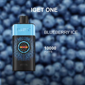 IGET ONE BLUEBERRY ICE - 12000 PUFFS