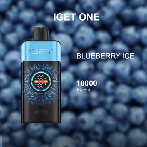 IGET ONE BLUEBERRY ICE - 12000 PUFFS