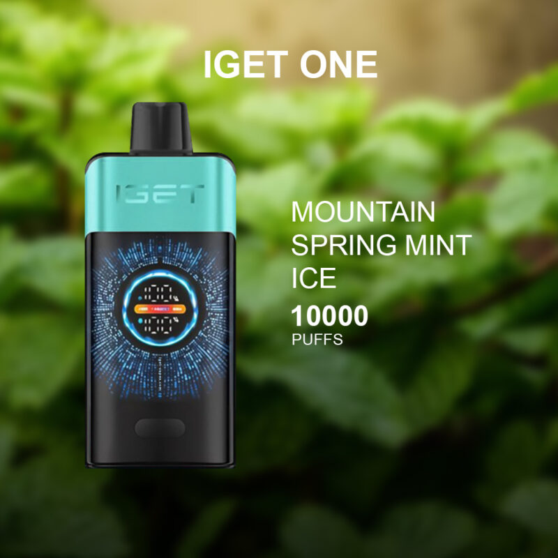IGET ONE MOUNTAIN SPRING MINT ICE - 12000 PUFFS
