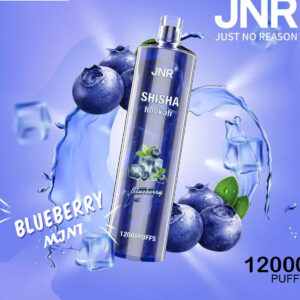 JNR SHISHA HOOKAH - BLUEBERRY MINT - 12000 PUFFS