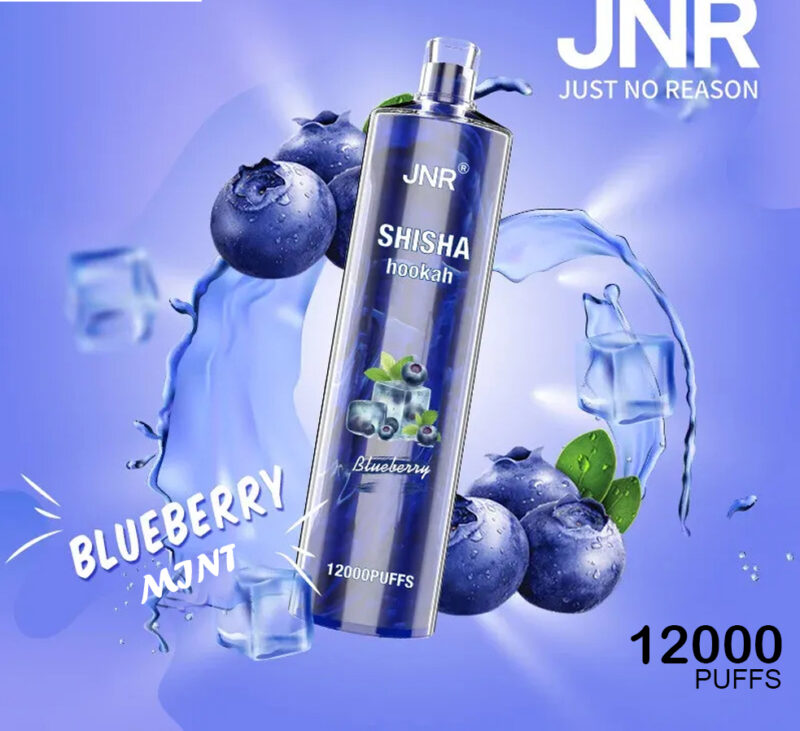 JNR SHISHA HOOKAH - BLUEBERRY MINT - 12000 PUFFS