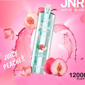 JNR SHISHA HOOKAH - JUICY PEACHES - 12000 PUFFS JNR SHISHA HOOKAH - JUICY PEACHES - 12000 PUFFS