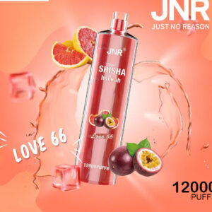 JNR SHISHA HOOKAH - LOVE 66 - 12000 PUFFS