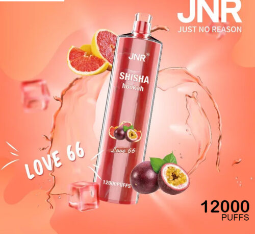 JNR SHISHA HOOKAH - LOVE 66 - 12000 PUFFS