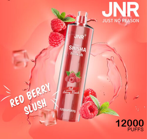 JNR SHISHA HOOKAH - RED BERRY BLUSH - 12000 PUFFS