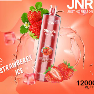 JNR SHISHA HOOKAH WATERMELON ICE - 12000 PUFFS