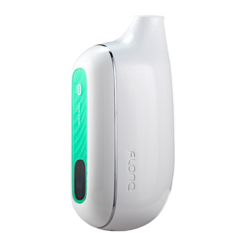 Mint Chill FLONQ Max Smart
