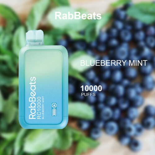 RABBEATS BAR BLUEBERRY MINT - 10000 PUFFS