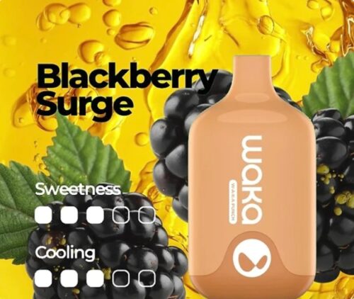 WAKA SMASH BLACKBERRY SURGE - 6000 PUFFS